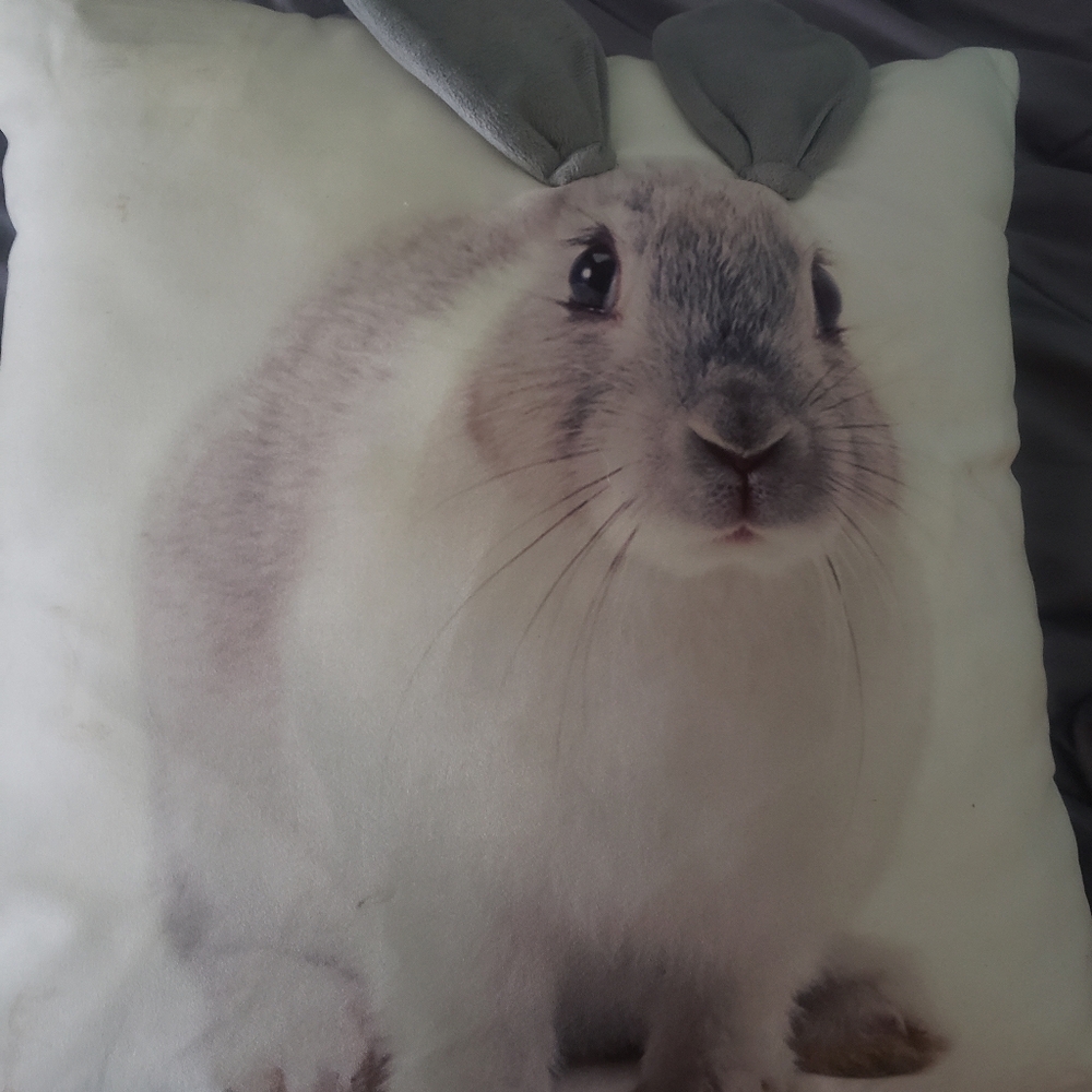 Pillow